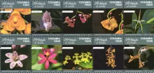 Orquídeas Endémicas de Colombia. (9/08/2018)